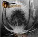 Galadriel
